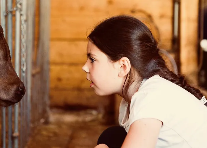 Casa Melide 2 Apartment *